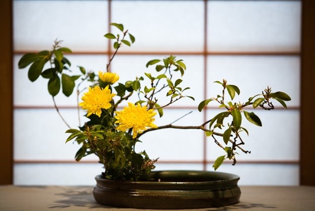  Ikebana - Nét Đặc Sắc Của Văn Hóa Nhật