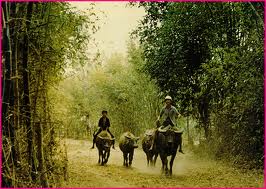 Hồi tưởng của 1 lao động Việt Nam tại Đài Loan